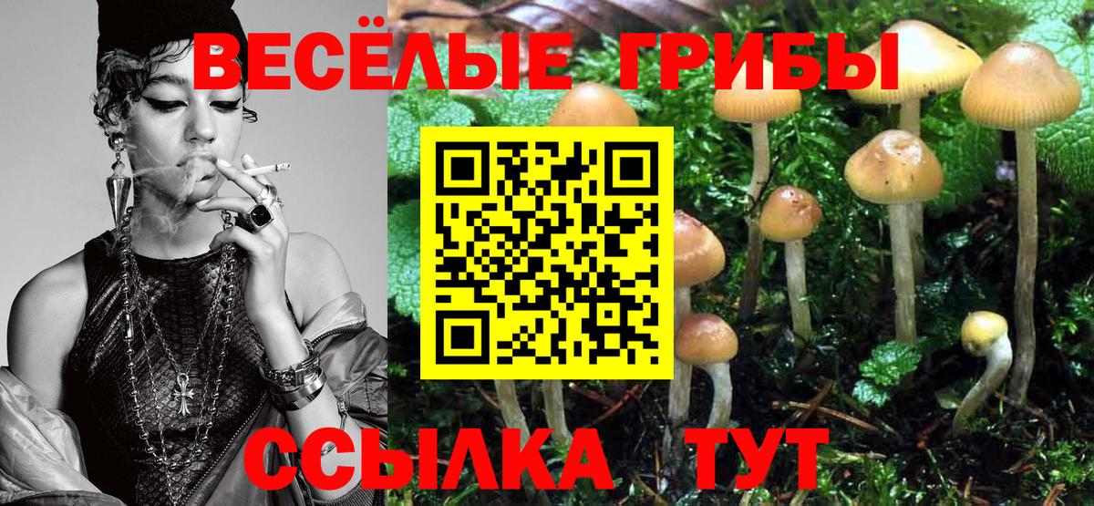 Ростов Великий  Псилоцибиновые грибы GOLDEN TEACHER  Вход с VPN 