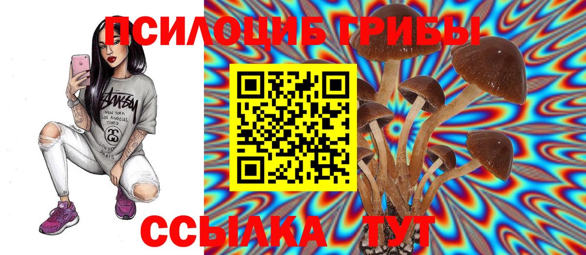 Галлюциногенные грибы мицелий Ростов Великий